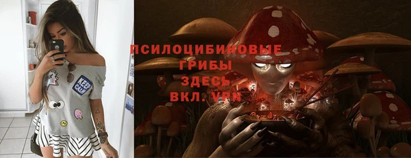 дживик Кинешма