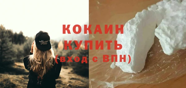 дживик Кинешма