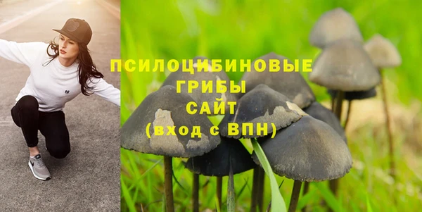 твердый Киреевск