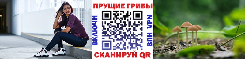 Псилоцибиновые грибы MAGIC MUSHROOMS Минусинск