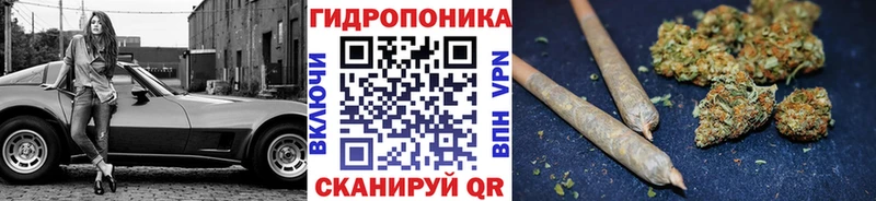 Купить закладки  Минусинск  Канабис тримм 